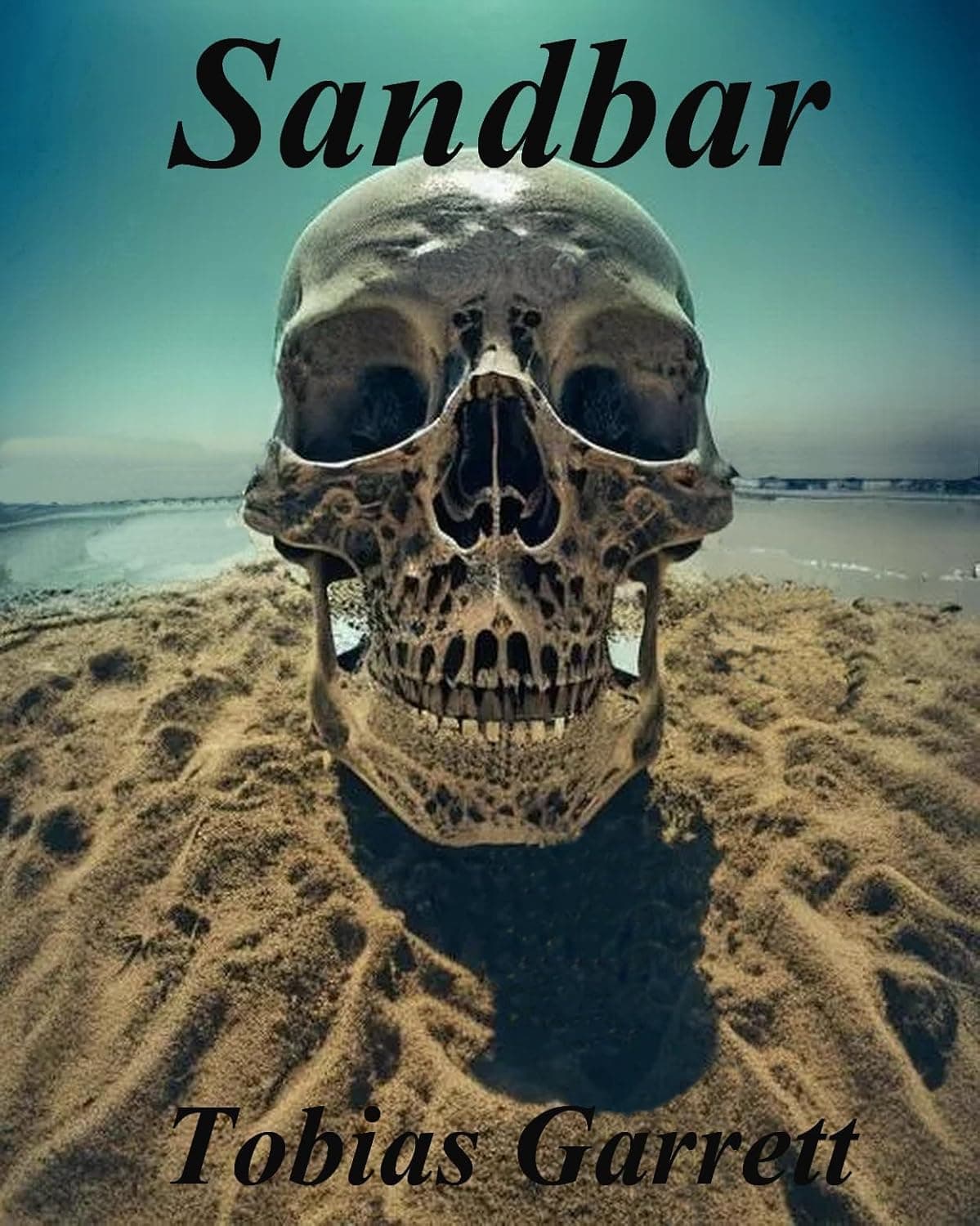 Detailed human skull on a sandbar with the title Sandbar and author Tobias Garrett.